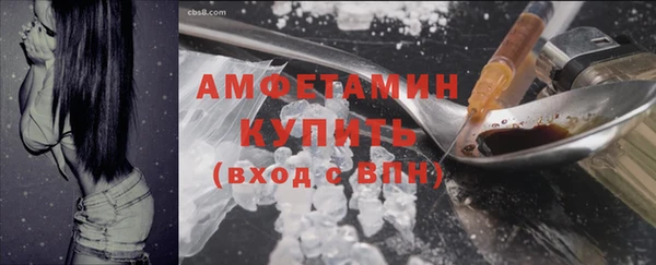 индика Нея