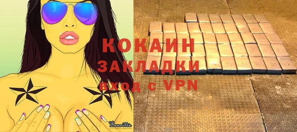 индика Нея