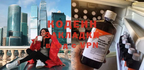 индика Нея
