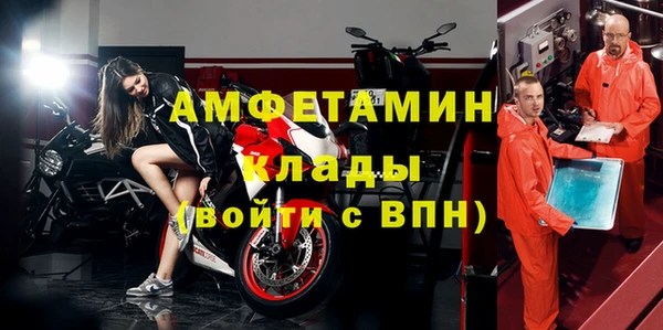 индика Нея
