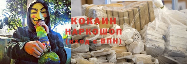 индика Нея