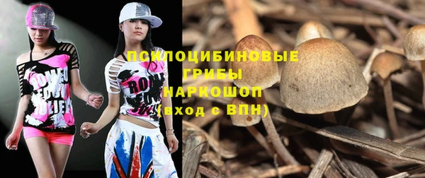дживик Нефтегорск