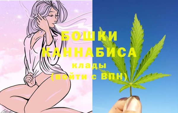 дживик Нефтегорск