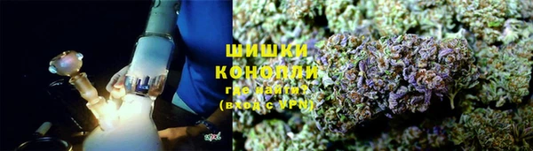 индика Нея